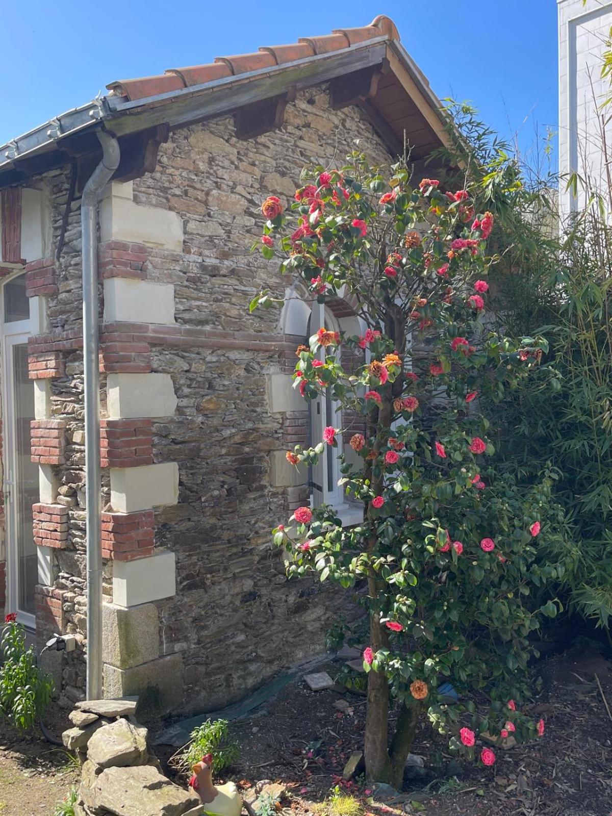 Logement Entier - La Laiterie De La Plume Nantes Eksteriør billede